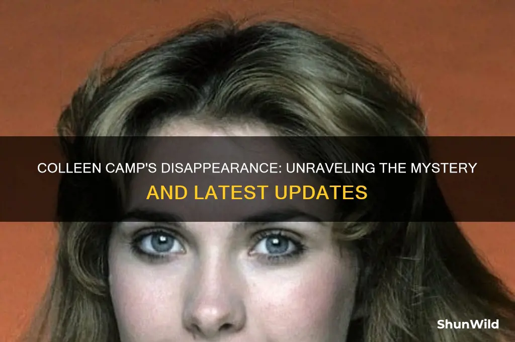what happend to colleen camp