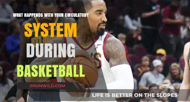 Basketball's Impact: Your Circulatory System Responds