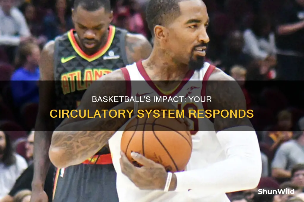 what happends with your circulatory system during basketball