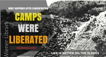 Liberation's Aftermath: Life and Challenges Post-Concentration Camps