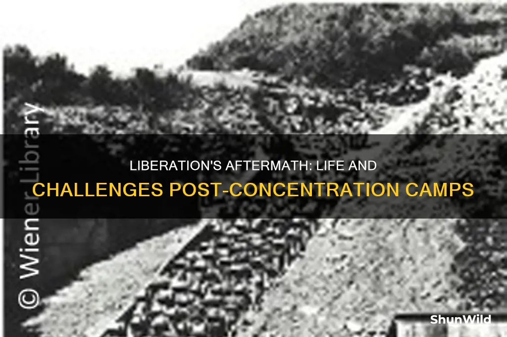 what happened after concentration camps were liberated