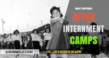 Life After Internment: Rebuilding Communities and Healing Wounds