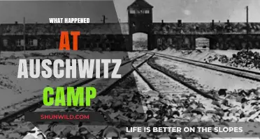 Auschwitz: Uncovering the Horrors of the Nazi Death Camp