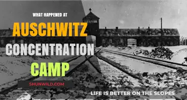 Auschwitz: Unveiling the Horrors of the Nazi Concentration Camp