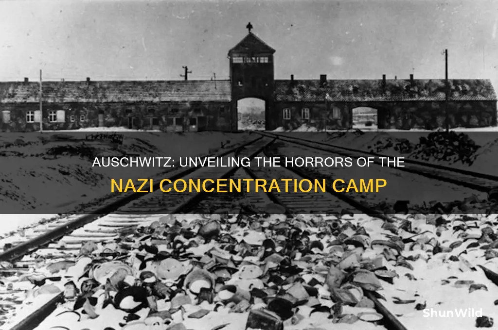 what happened at auschwitz concentration camp