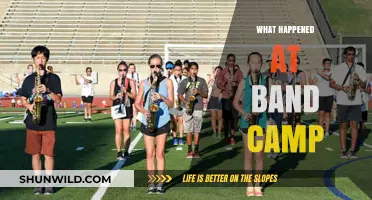 Unforgettable Band Camp Stories: Drama, Music, and Unexpected Twists Revealed