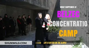 Uncovering the Horrors: Belzec Concentration Camp's Dark History Revealed