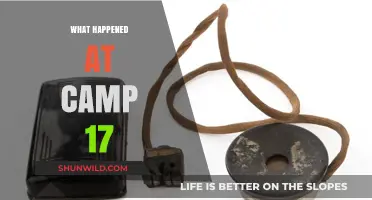 Unveiling the Mysteries: The Untold Story of Camp 17