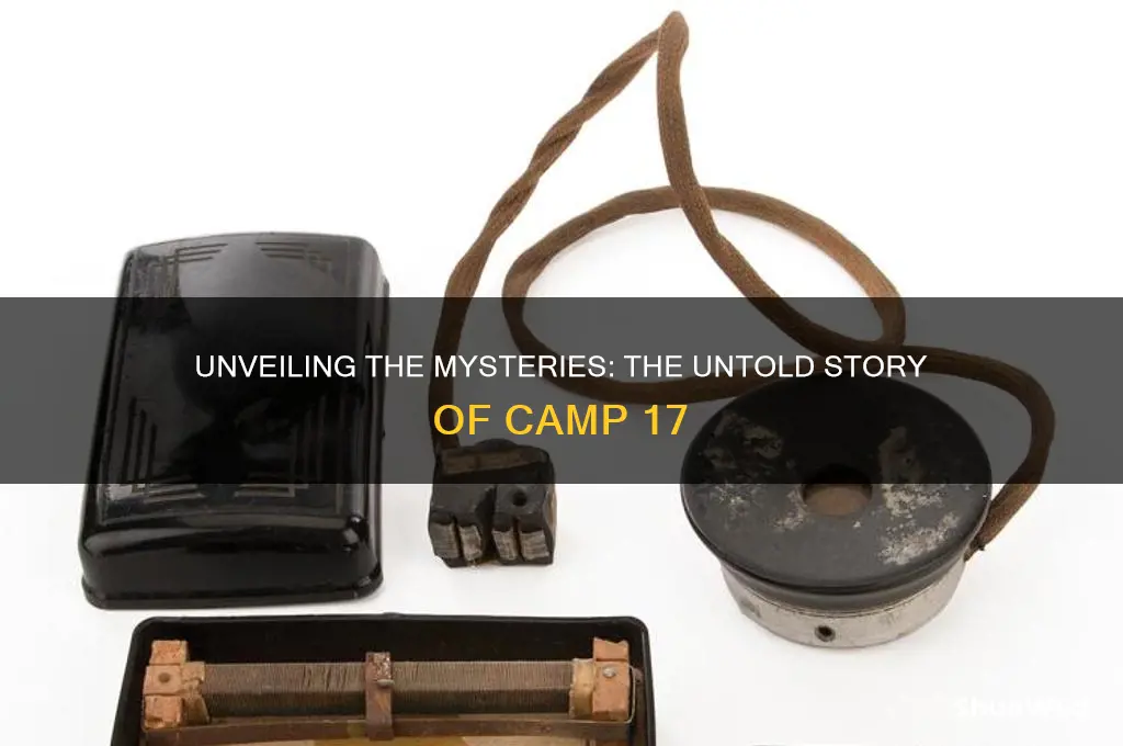 what happened at camp 17