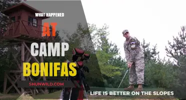 Camp Bonifas Incident: Unraveling the Mysterious Events of the DMZ