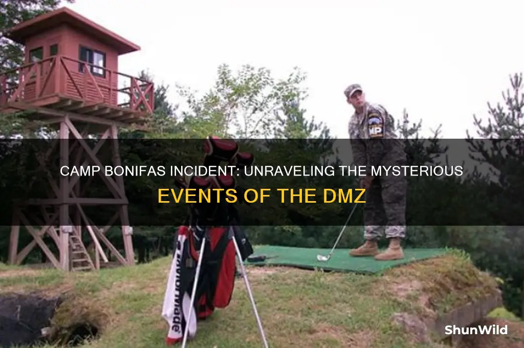 what happened at camp bonifas
