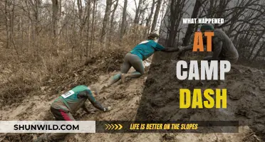 Unveiling the Mystery: What Really Happened at Camp Dash?