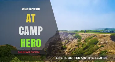 Unveiling Camp Hero's Secrets: Mysteries and Untold Stories Revealed