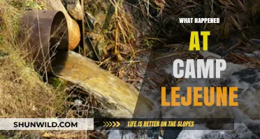 Camp Lejeune's Toxic Water Crisis: Uncovering the Devastating Truth