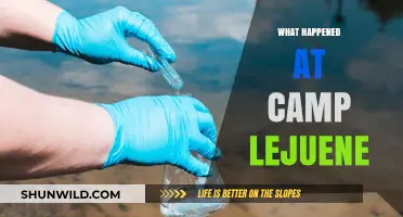 Camp Lejeune's Toxic Legacy: Uncovering the Water Crisis and Its Aftermath