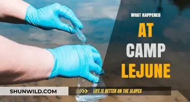Uncovering the Toxic Truth: Camp Lejeune's Water Crisis Explained