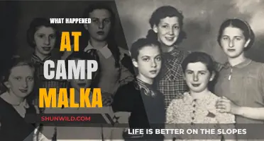 Unveiling the Mysteries: The Untold Story of Camp Malka's Incident
