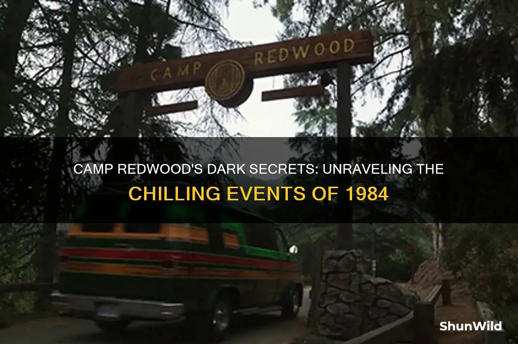 what happened at camp redwood