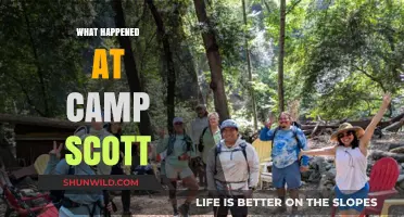 Unraveling the Mystery: What Happened at Camp Scott?