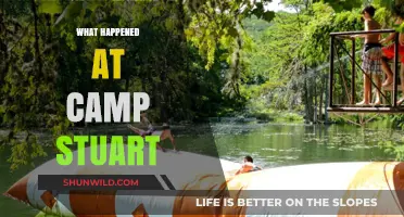 Unveiling the Mysterious Events at Camp Stuart: A Chilling Tale
