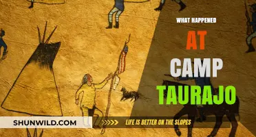 Camp Taurajo's Dark Fate: Uncovering the Tragic Events of the Massacre