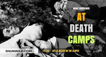 Unveiling the Horrors: Inside the Brutal Realities of Death Camps