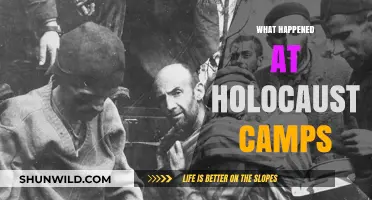 Unveiling the Horrors: Inside the Holocaust Concentration Camps