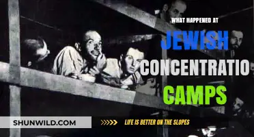 Unveiling the Horrors: Jewish Concentration Camps' Dark History Explored