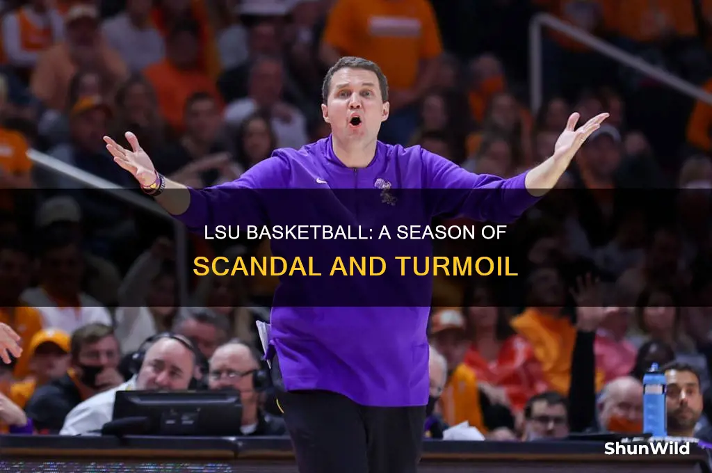 what happened at lsu basketball