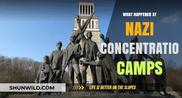 Unveiling the Horrors: Nazi Concentration Camps' Dark History Explained
