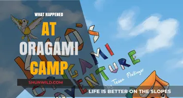 Unfolding Creativity: The Surprising Adventures at Origami Camp Revealed