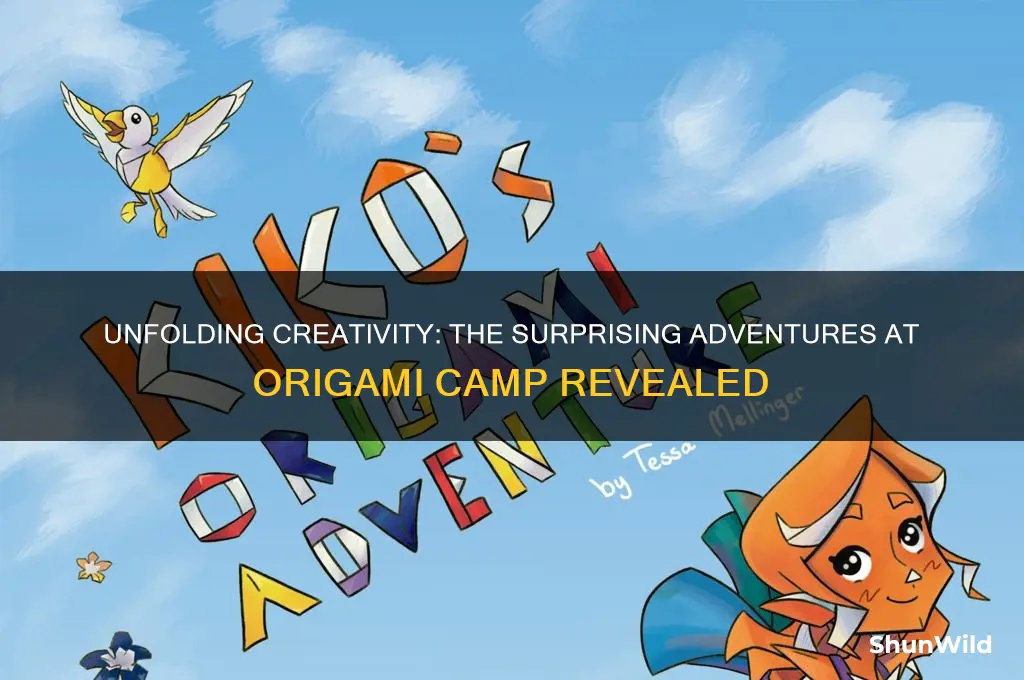 what happened at oragami camp