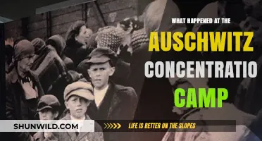 Auschwitz: Uncovering the Horrors of Nazi Concentration Camp History