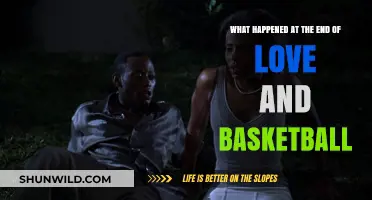 Love & Basketball: The End Game