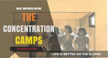 The Dark Prelude: Events Leading to Concentration Camps