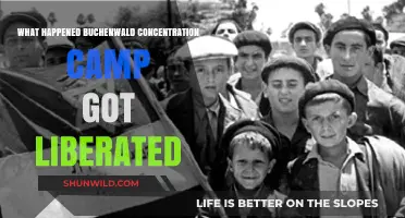Liberation of Buchenwald: The Day Hope Returned to Survivors