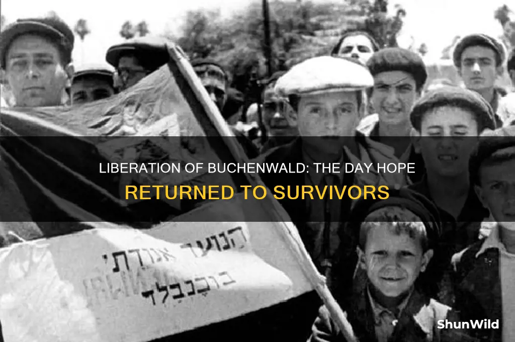 what happened buchenwald concentration camp got liberated