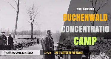 Buchenwald Concentration Camp: Uncovering the Horrors and History