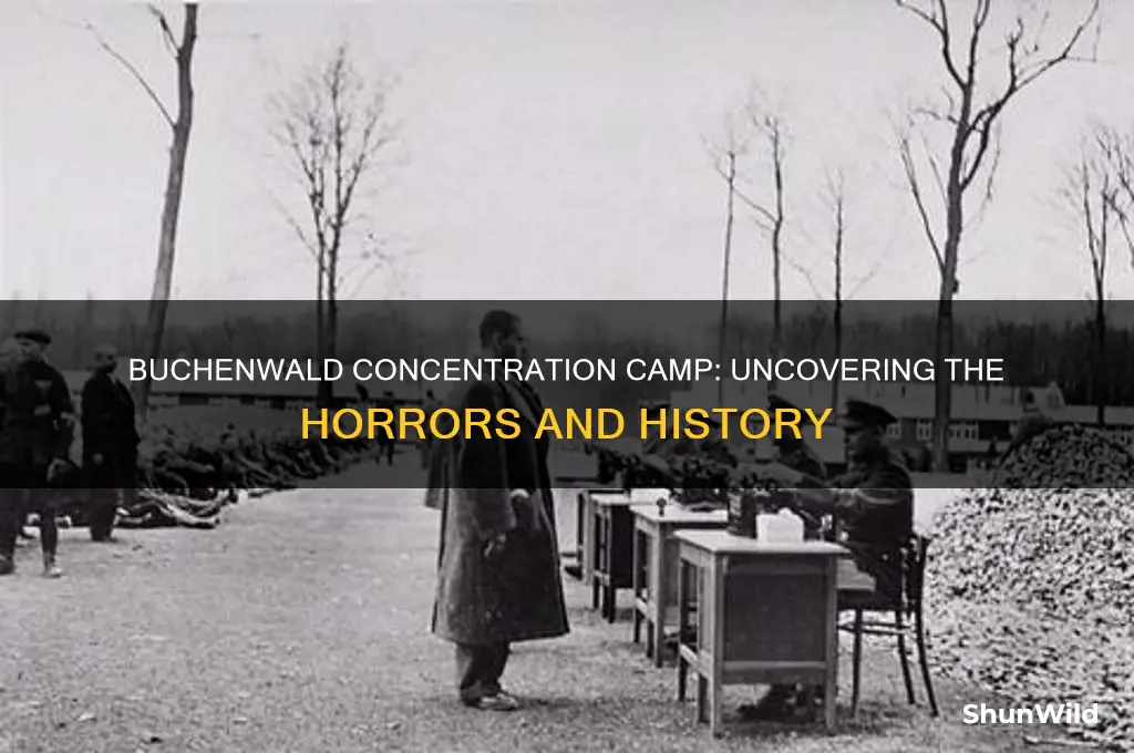 what happened buchenwald concentration camp