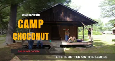Unraveling the Mystery: What Really Happened at Camp Choconut?