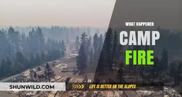 Unraveling the Devastation: The Camp Fire Tragedy Explained