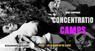 Unveiling the Horrors: What Happened in Concentration Camps?