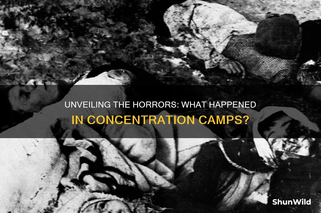 what happened concentration camps