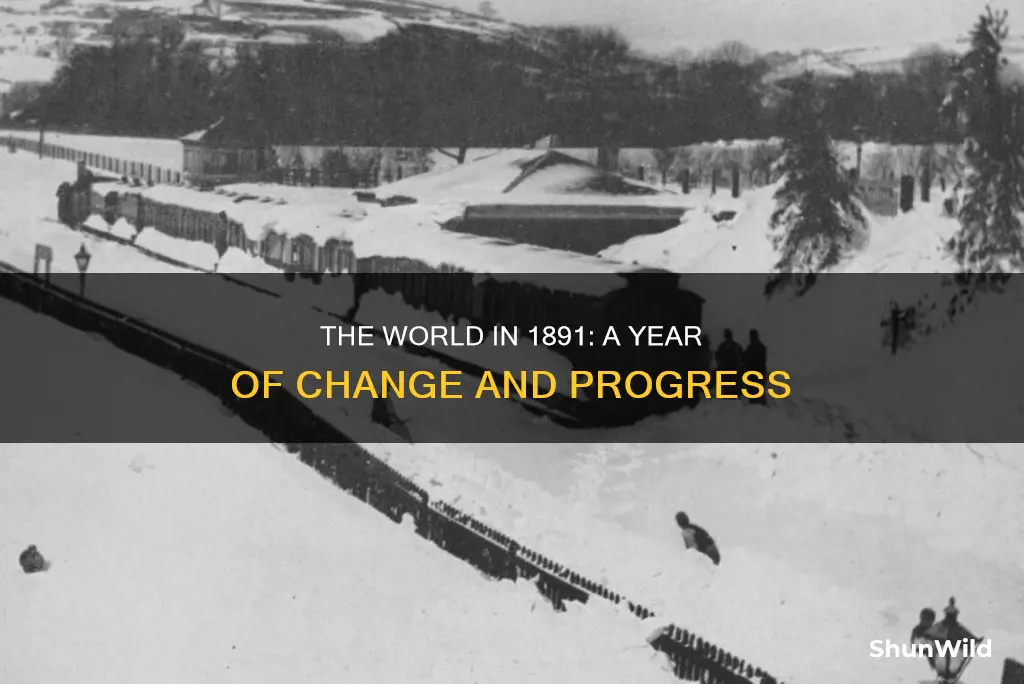 what happened in 1891