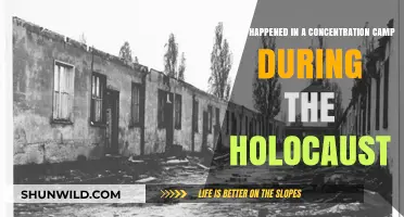 Unveiling the Horrors: Life and Death in Holocaust Concentration Camps