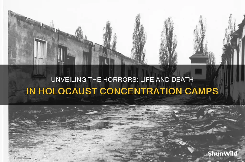 what happened in a concentration camp during the holocaust