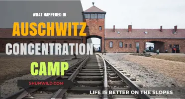 Auschwitz: Uncovering the Horrors of the Nazi Concentration Camp