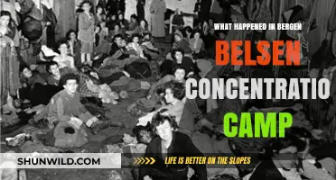 Bergen-Belsen: Uncovering the Horrors of a Nazi Concentration Camp