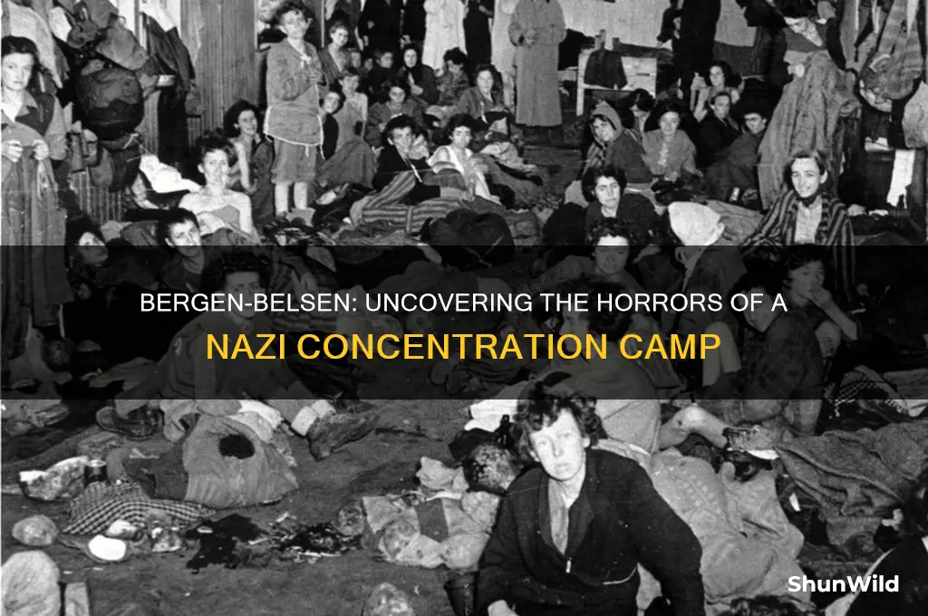 what happened in bergen belsen concentration camp
