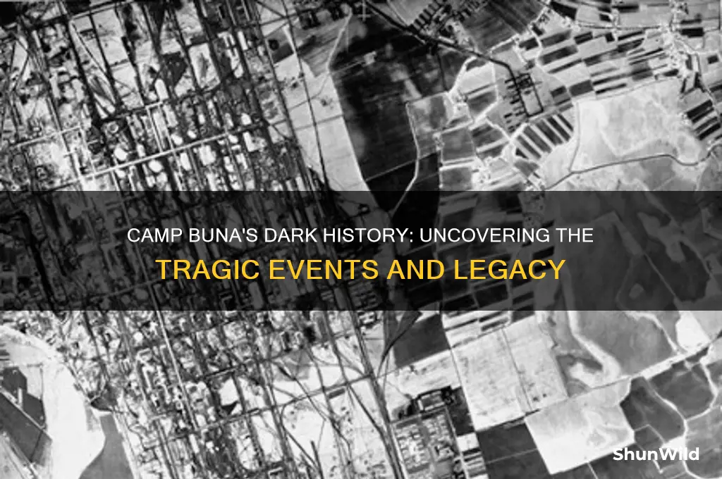 what happened in camp buna